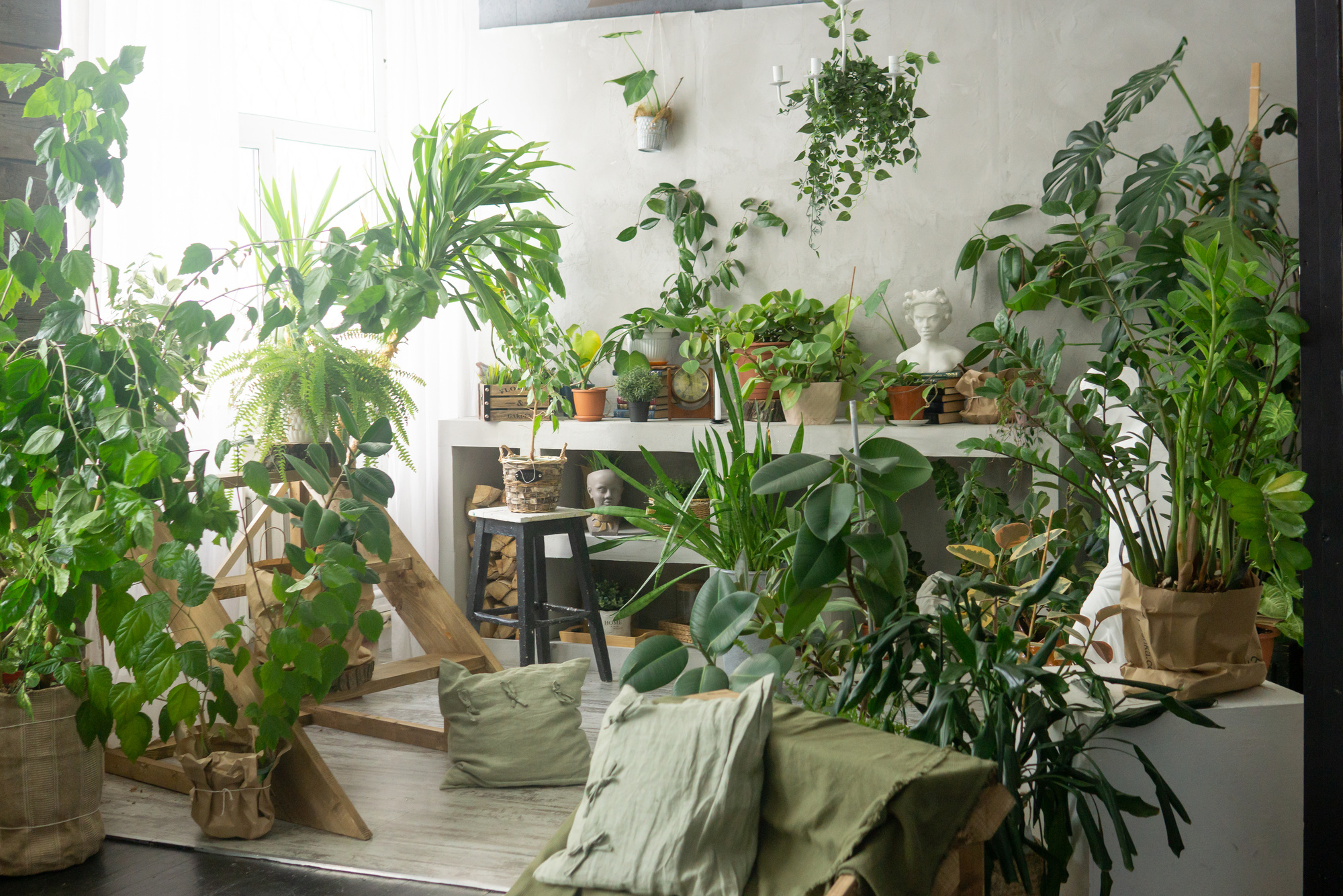 A Fragment of the Interior with a Variety of Indoor Plants and Plaster Sculptures. Urban Jungle Concept. Biophilia Design.