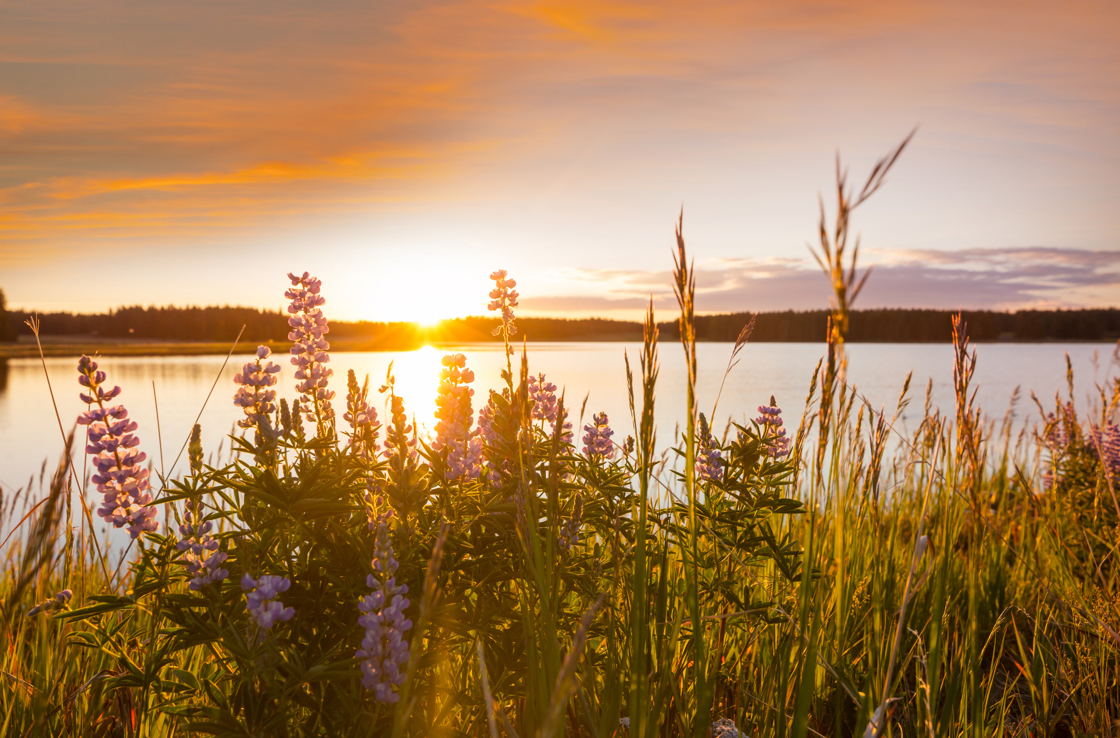 Summer Lake